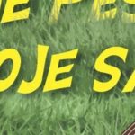 Ponovitev prireditve muzikla “Moje pesmi, moje sanje”