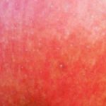 razstava: Darovi jeseni