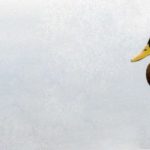 Razstava počitniškega foto krožka 2016