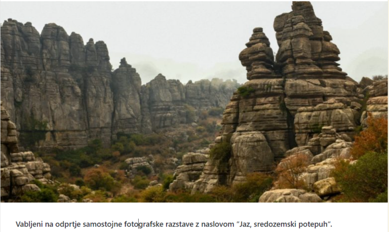 Read more about the article Jaz, sredozemski potepuh