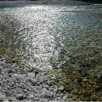 Bralni večer na temo starovercev, sreda 8. 5. 2024 ob 18.00 uri v Kodrovi dvorani