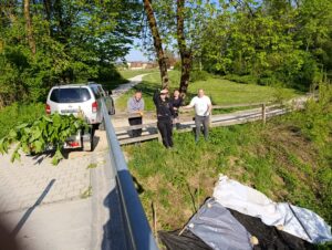 Delavnica odstranjevanja japonskega dresnika 22. 4. 2026 – rastišče Mlinarska brv Radomlje