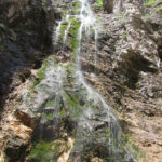 BRALNI VEČER o starovercih