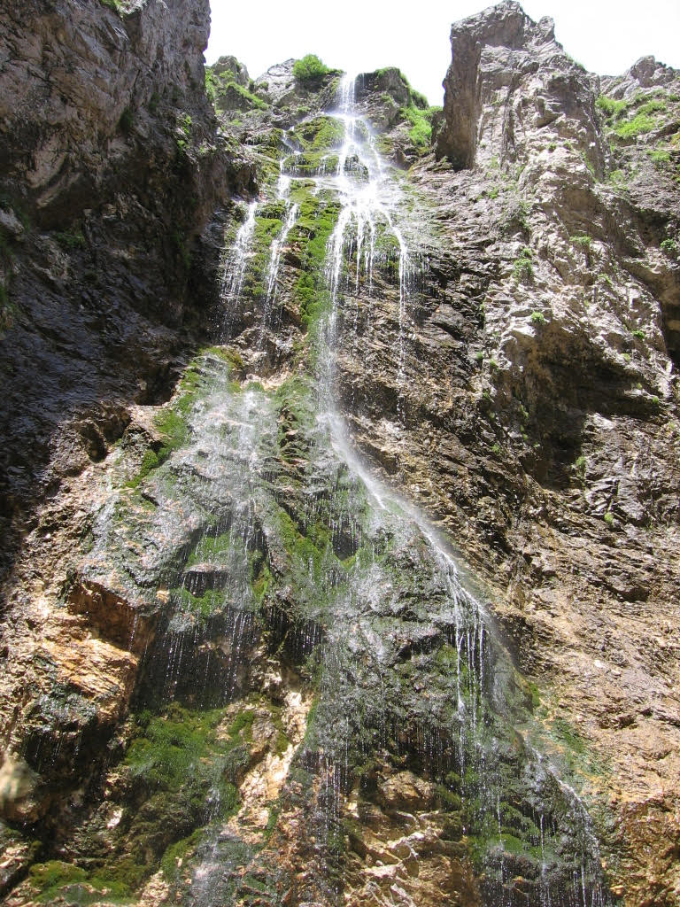 You are currently viewing BRALNI VEČER o starovercih